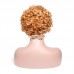 Stema Ombre Pixie Cut Wig T Part Human Hair Wigs Curly